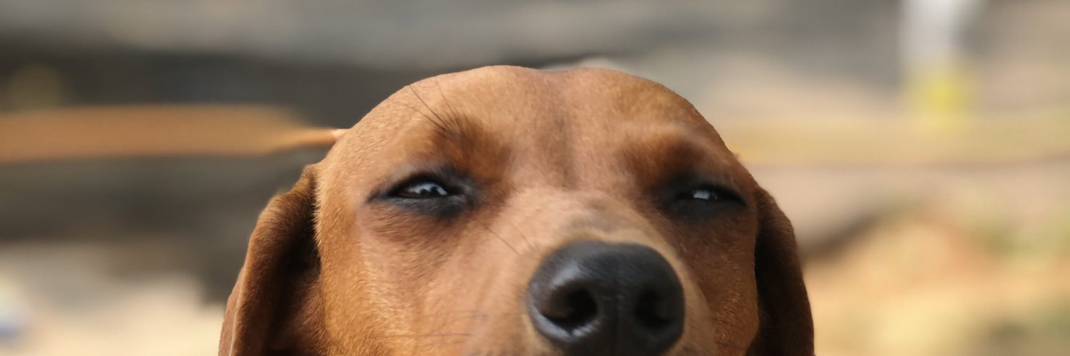 Josilvero's profile banner image