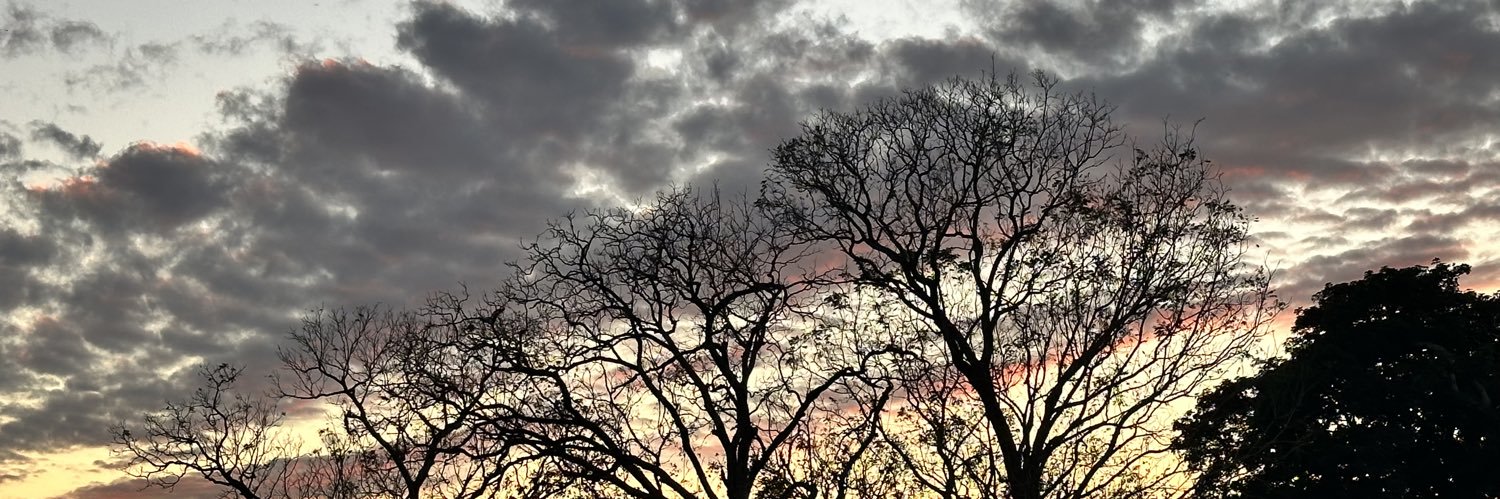 bbbes7_03's profile banner image