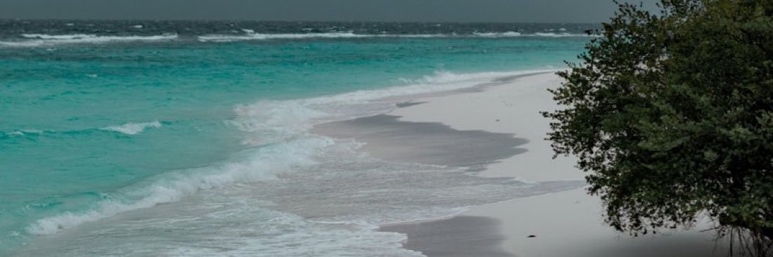 Petty_Murphy's profile banner image