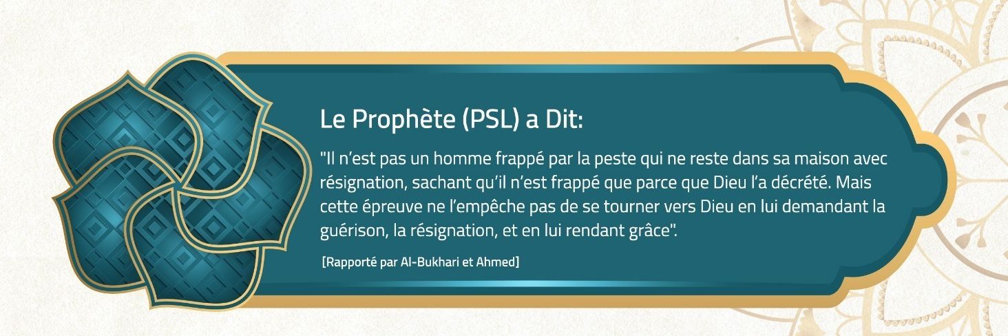 Hamidslim's profile banner image