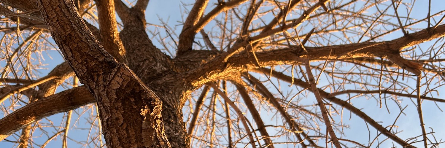 burnermeme69's profile banner image