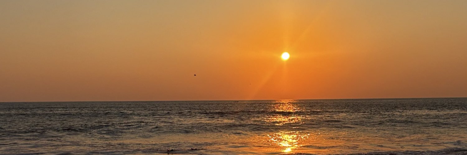 alejandraleeon_'s profile banner image
