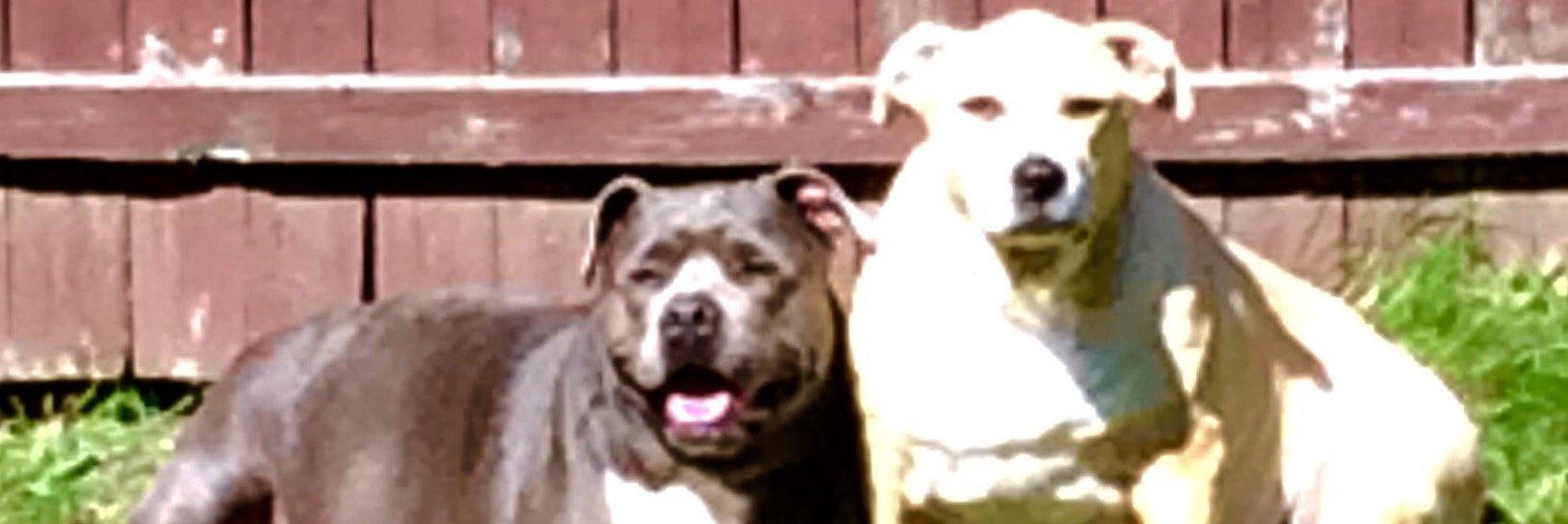 Ryanrls421's profile banner image