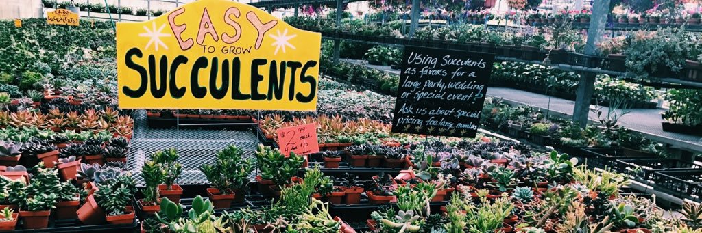 denayaposton_'s profile banner image