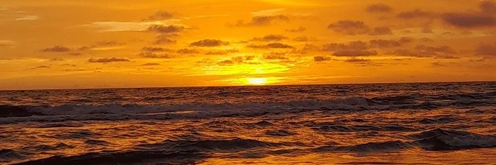 Ferniimore's profile banner image