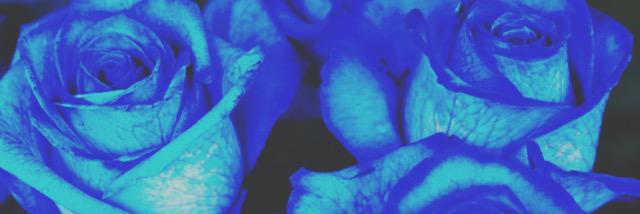 dawsoninstagram's profile banner image