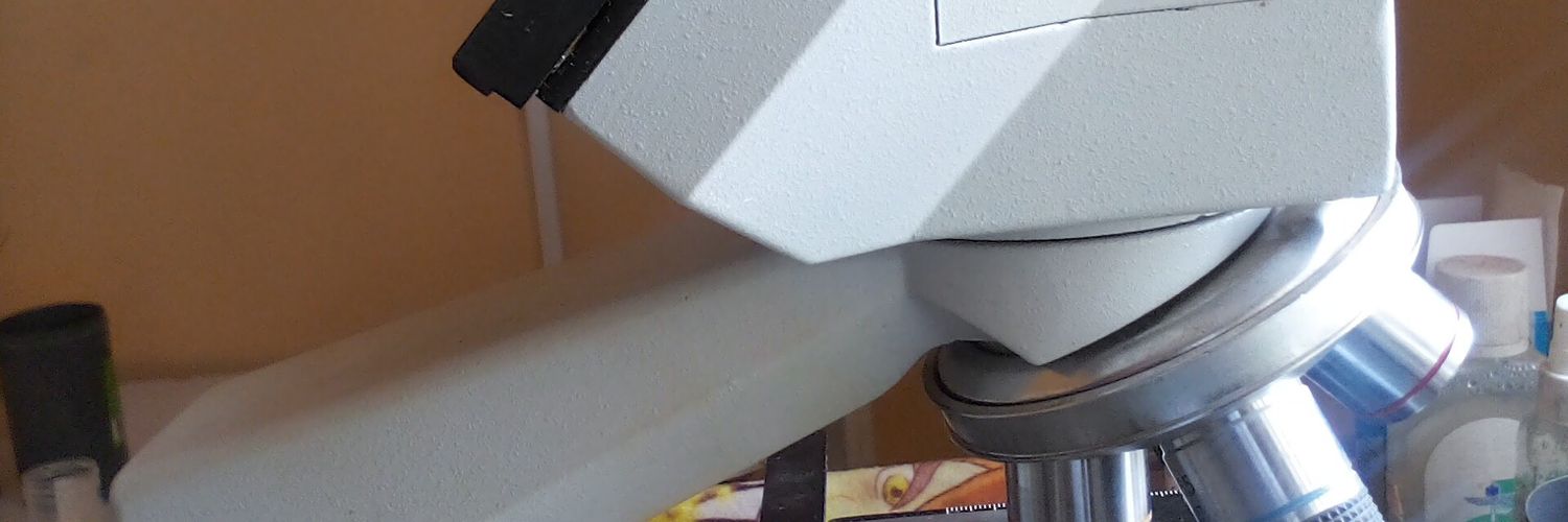 andi_ginitus's profile banner image