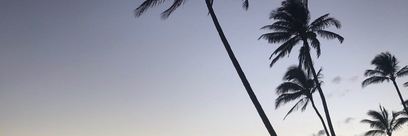 krisskits's profile banner image