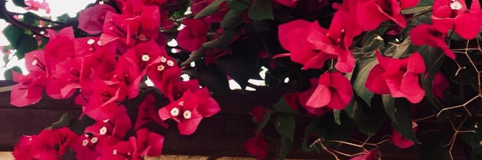 S_ElMisbah's profile banner image