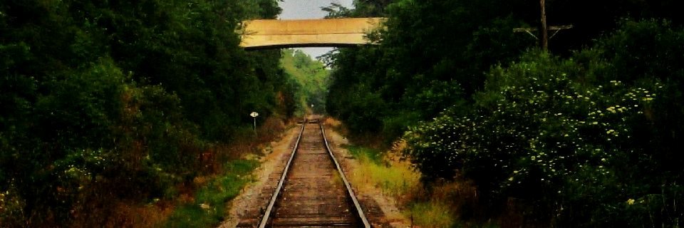 JerBushell's profile banner image