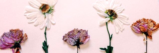 k_hillll's profile banner image