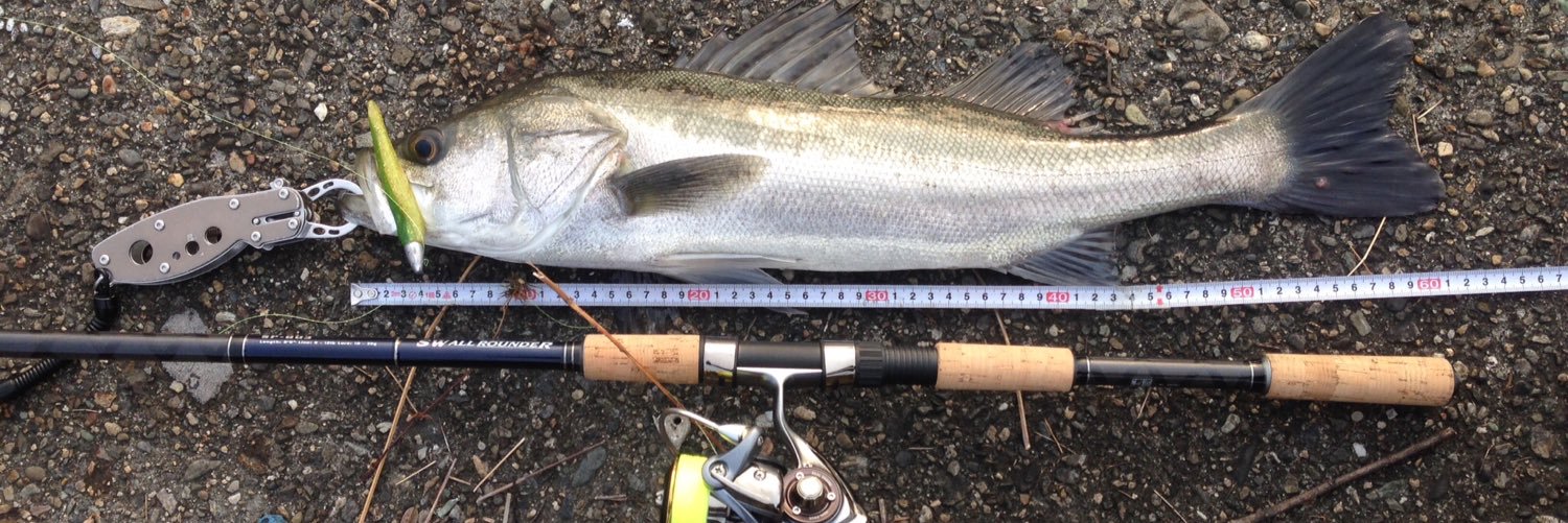 fish_yodoriver's profile banner image