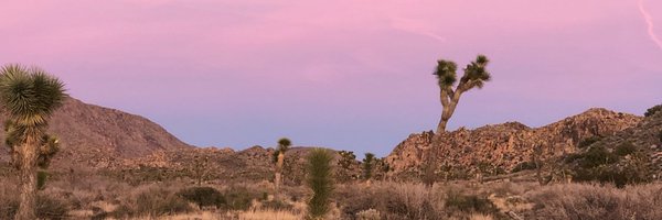 JDMossMD Profile Banner