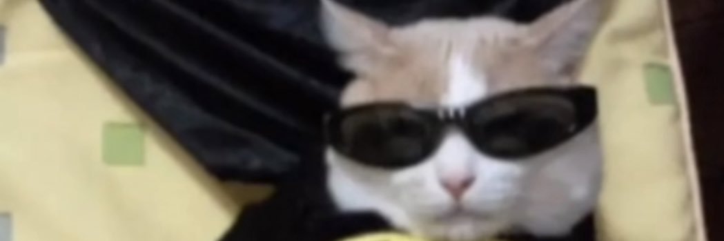 0dd_d0nutz's profile banner image