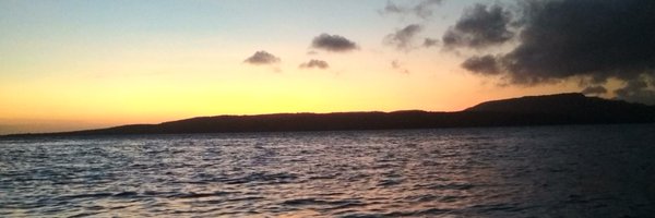 wibouo64 Profile Banner