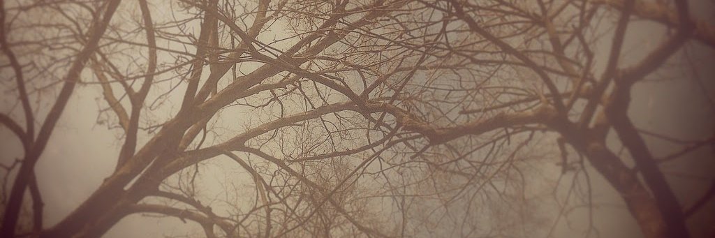 DavidWirsig's profile banner image