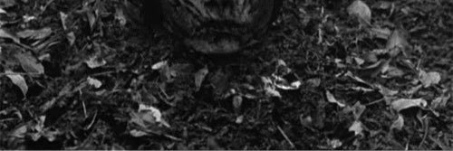 Hoboner's profile banner image