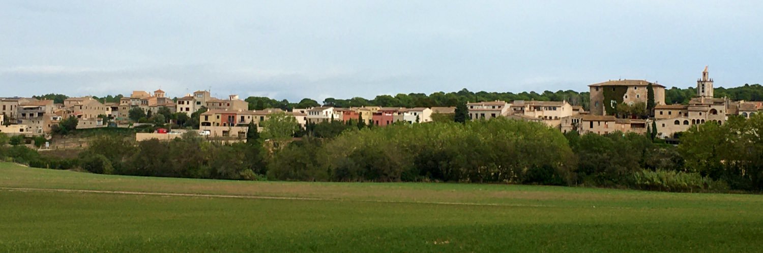 Rosa Ma Alsina-Pagès banner