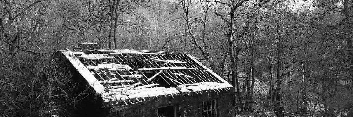 Pesky Splinter banner