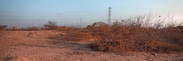 luis_asch Profile Banner