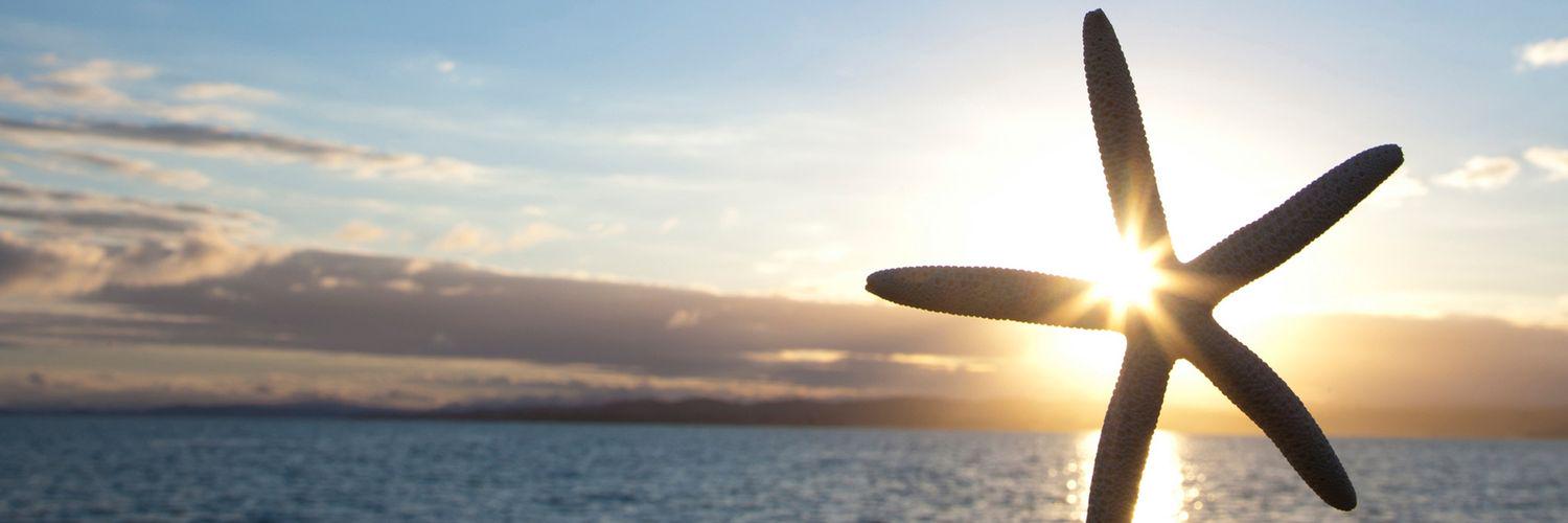 GeneWong15's profile banner image