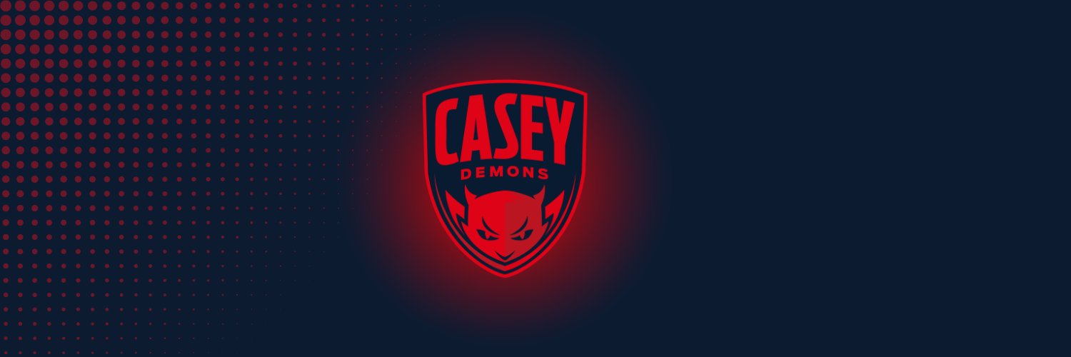 Casey Demons banner