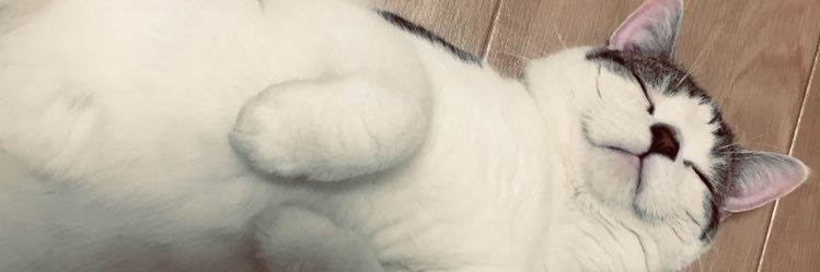 chi_v3v's profile banner image