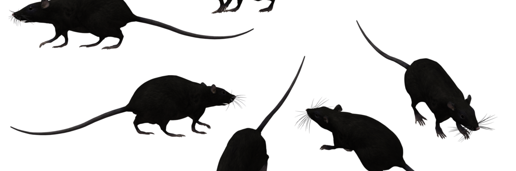 NiGELCROWN's profile banner image