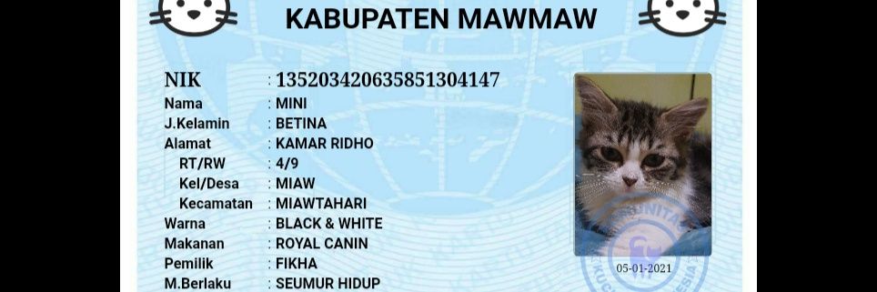 Fikhamelia's profile banner image