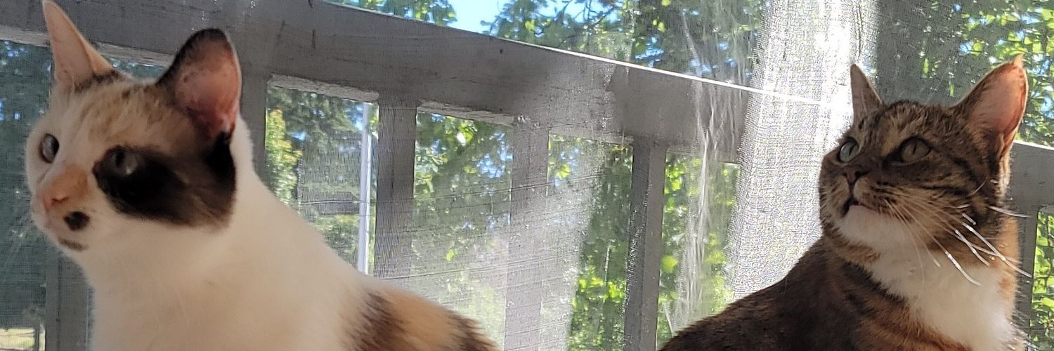 spooky_princess's profile banner image