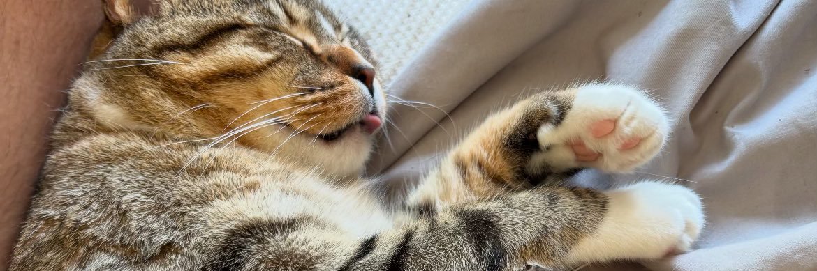 matti 🎷🧌 (they/them) banner