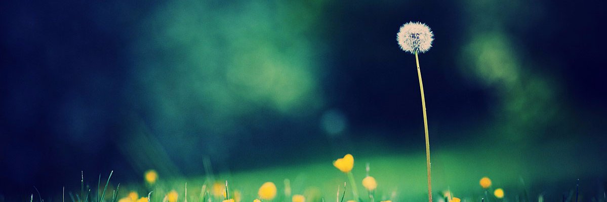 mjherthe's profile banner image