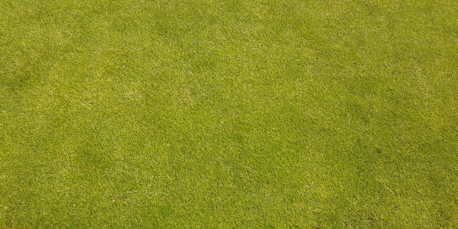 Martin Griffin-Wright banner