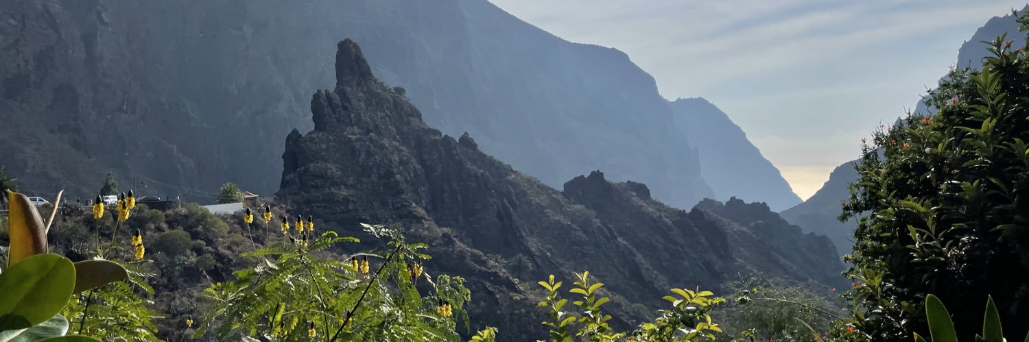 itstanvirao's profile banner image