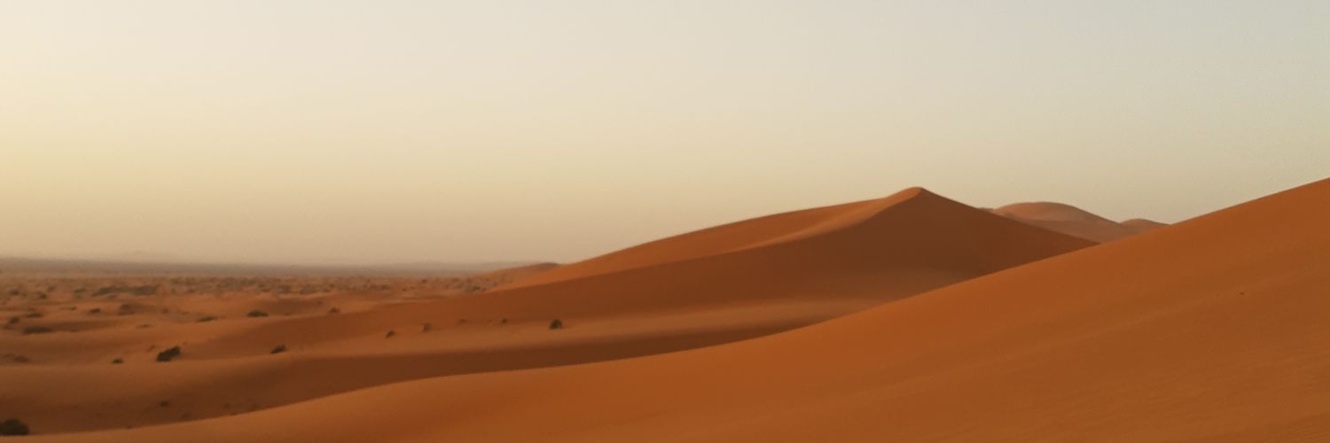Lorylab's profile banner image