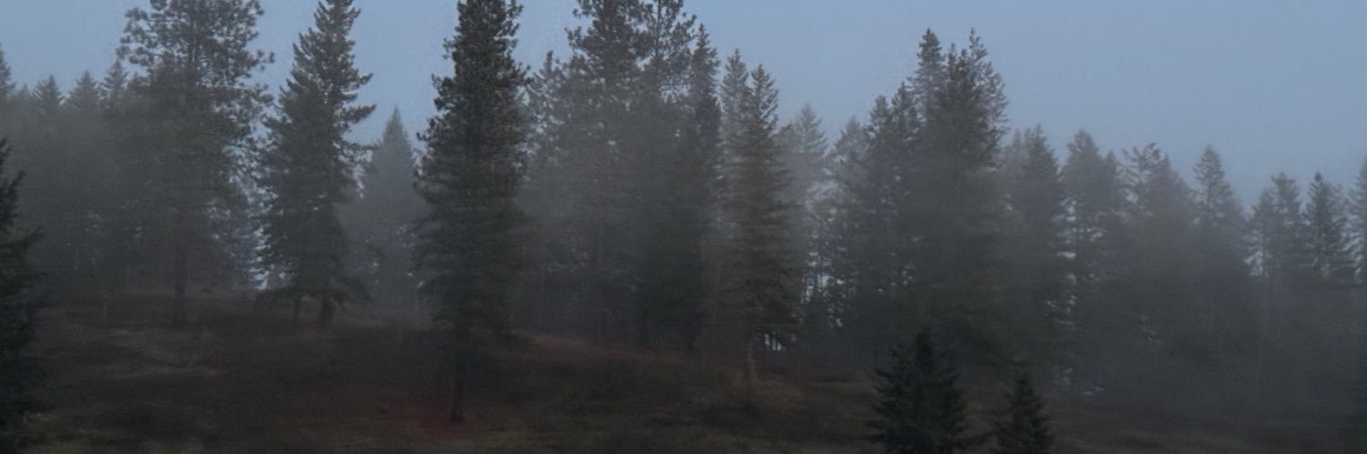 monibo_15's profile banner image