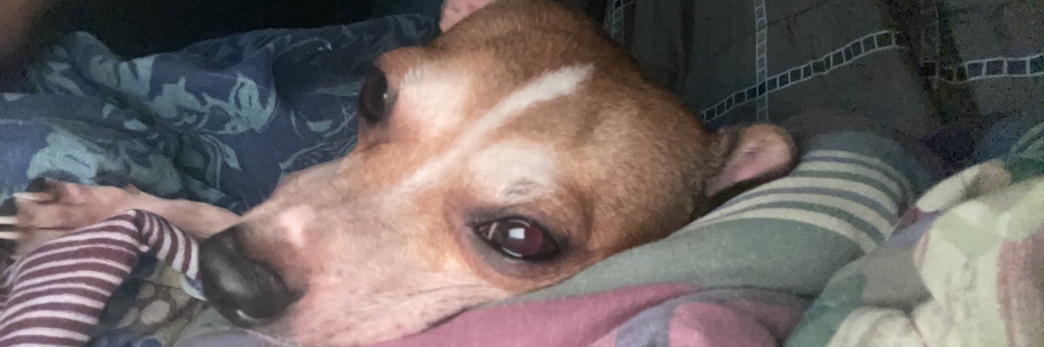 BuffMasterSexC's profile banner image