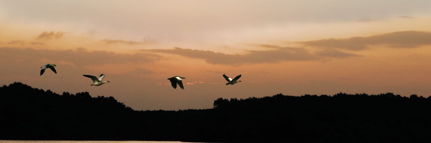 Claudio Ferreira banner