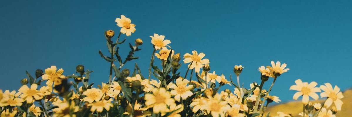 samo_ss's profile banner image