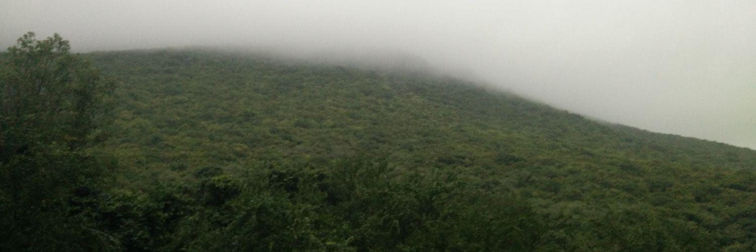 CaybieKB's profile banner image