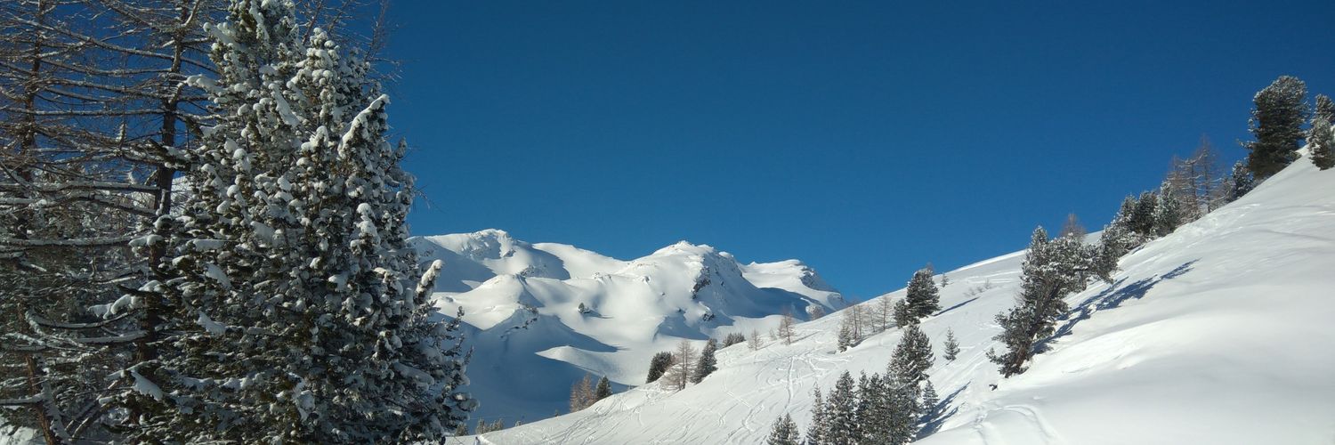 Martin Selfors banner