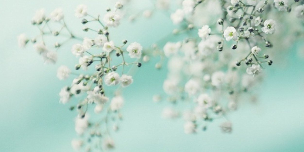 twite_r's profile banner image