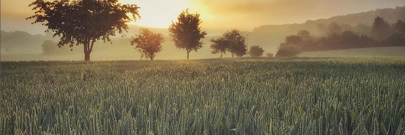 gerald_karner's profile banner image