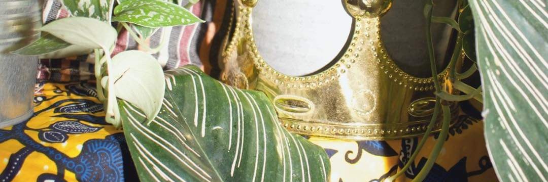 ♛King George VIII♛ banner