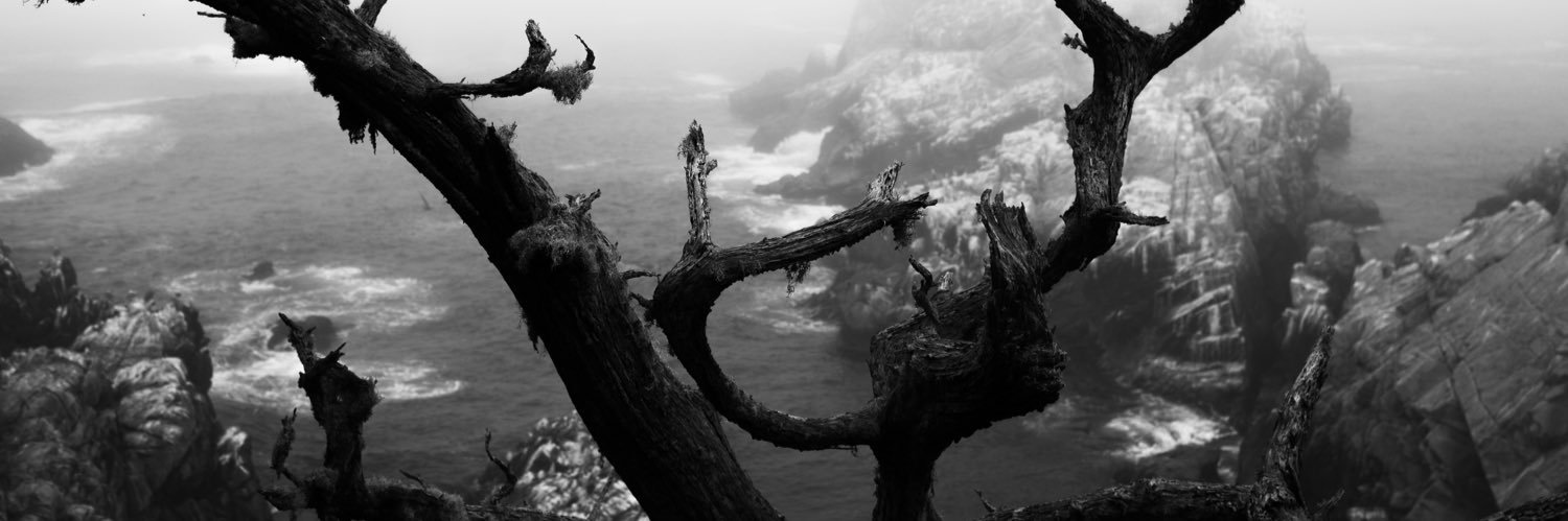 bv_bui's profile banner image