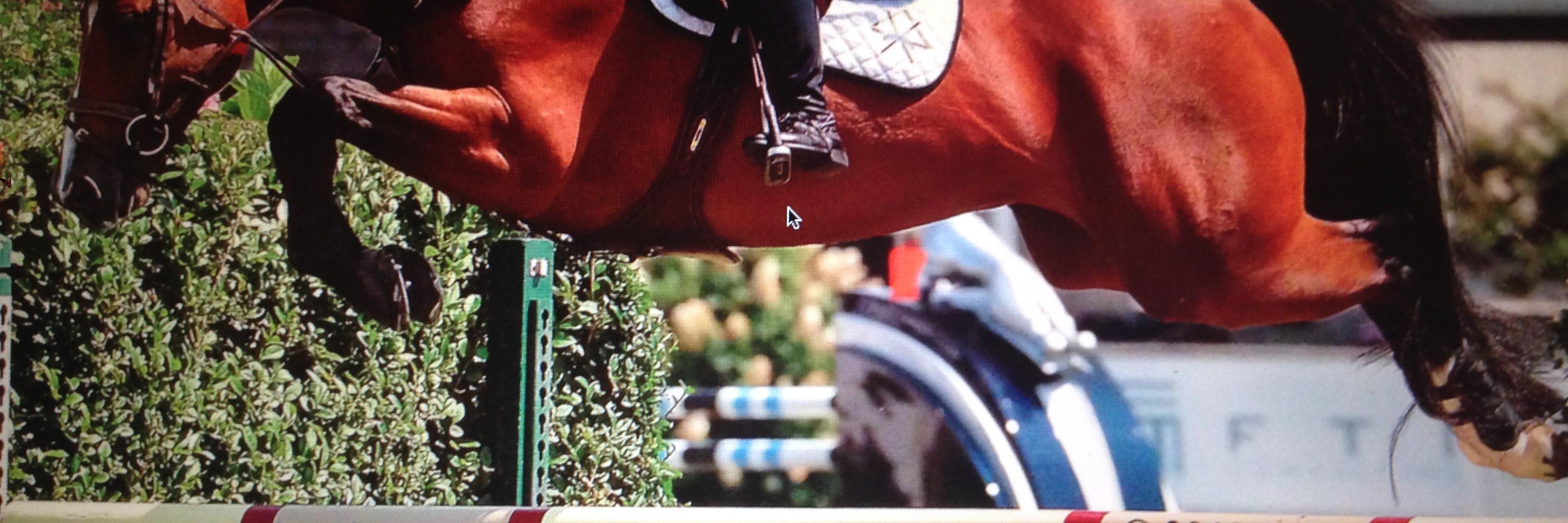 shbarney's profile banner image