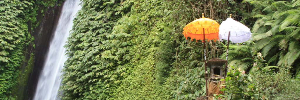 enviroanth's profile banner image