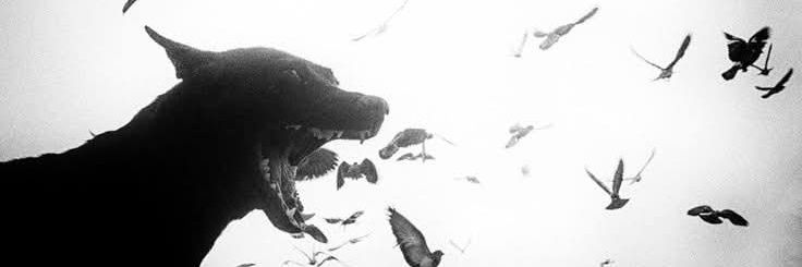 Wickedtwisted99's profile banner image