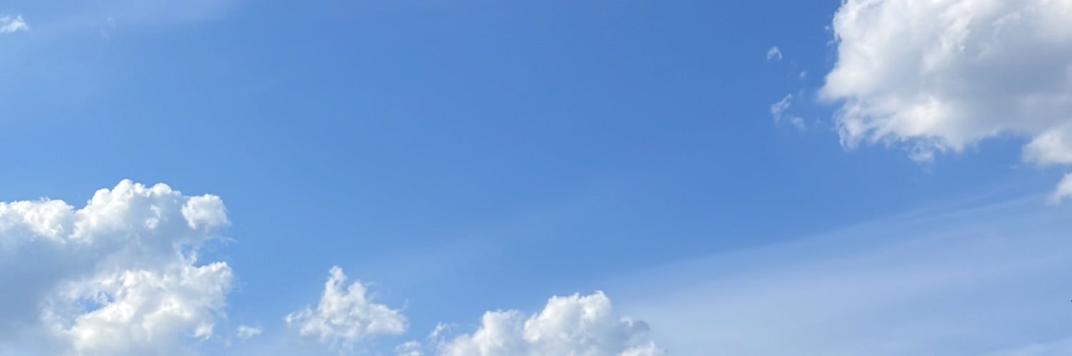 Oscar Del Valle S. 🍋 banner