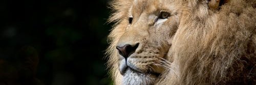 Clive254's profile banner image